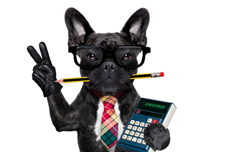 Dog holding a calculator and giving a peace sign